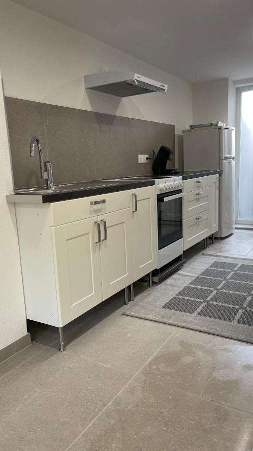 Appartement Chaleureux F2 avec entrée indépendante à Wittenheim Extérieur photo